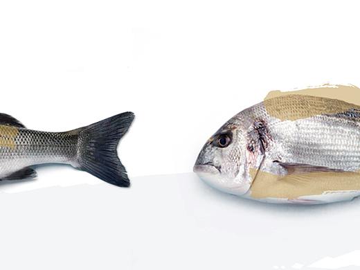 元初食堂（个人主页-ZNDI4OTAyODQ=） - 品牌 - 站酷设计师陈炒饭原创素材 - 站酷ZCOOL