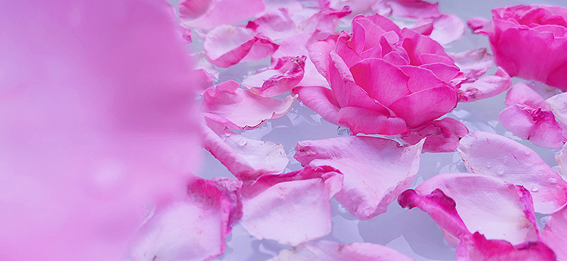 2021年手机摄影总结