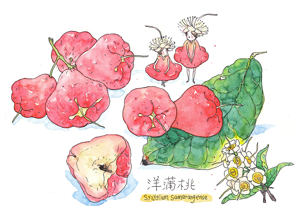 《水果的秘密》（图ZMjgxMTU0NzA4） - 创作习作 - 站酷设计师灰猫大米原创素材 - 站酷ZCOOL