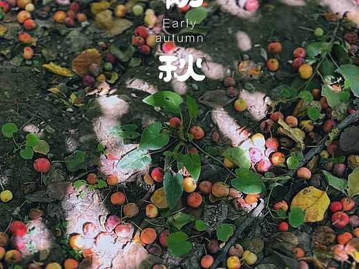 夏末初秋的奥森