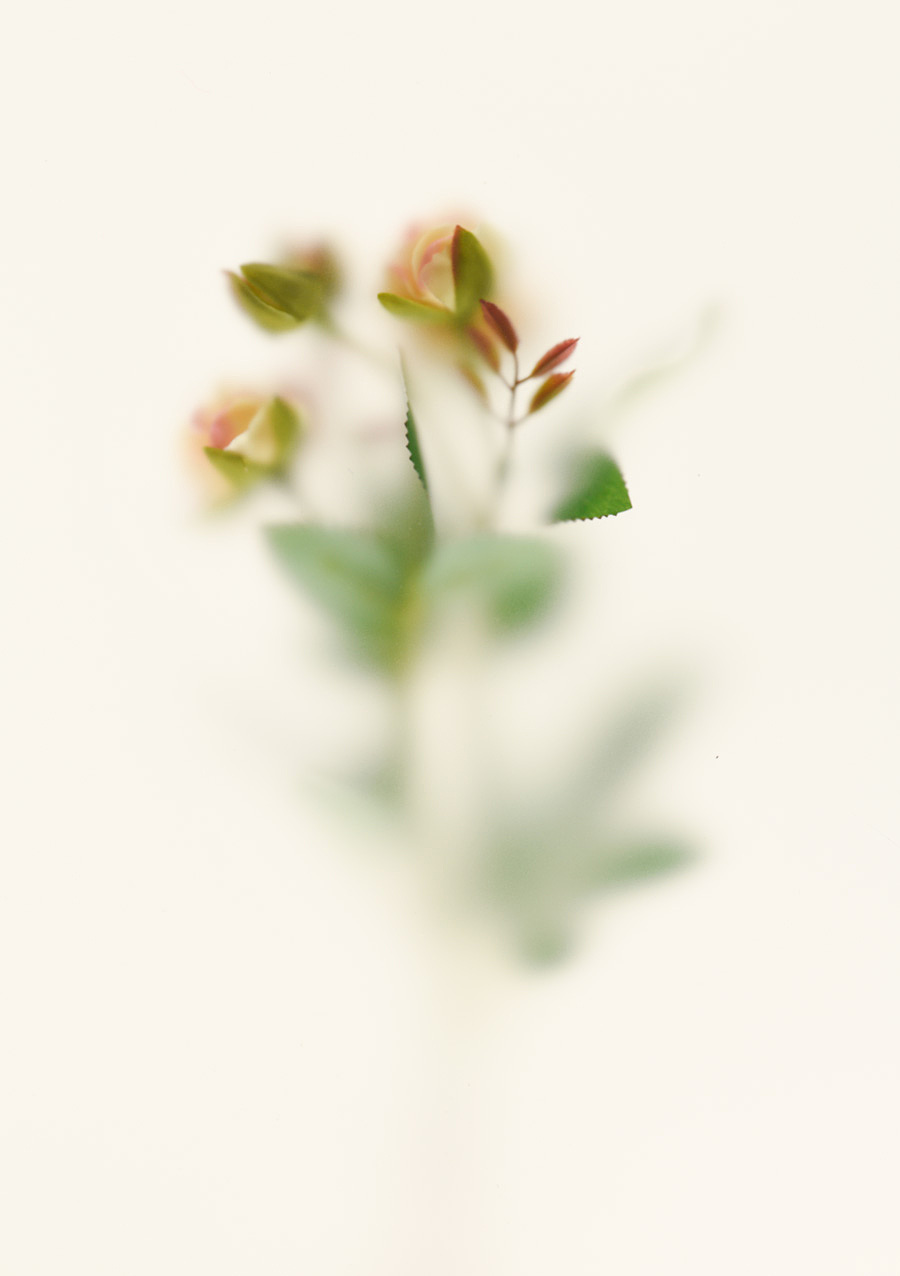 绽影像之《初醒》（图ZMTE4NDQxNjQ0） - 产品摄影 - 站酷设计师陈绽原创素材 - 站酷ZCOOL