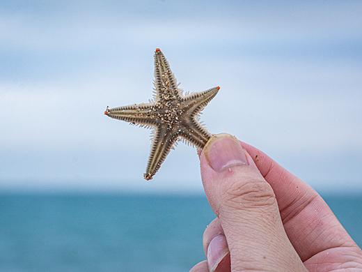 久久不见久久见