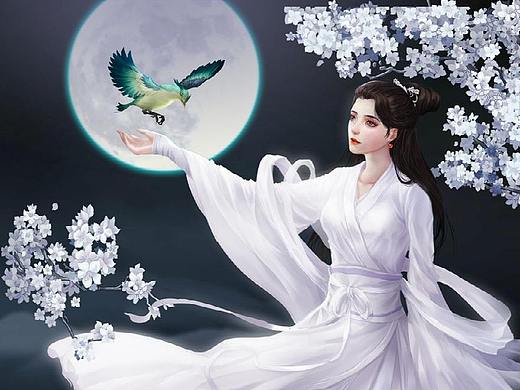 青鸟动态壁纸的制作展示