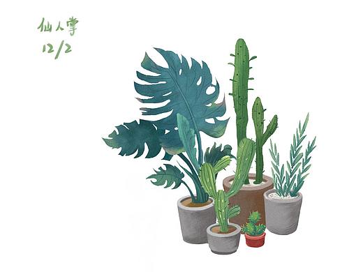 植物插画练习12/2-仙人掌（临摹）（个人主页-ZMzQ4NTM0Njg=） - 创作习作 - 站酷设计师鹿远原创素材 - 站酷ZCOOL
