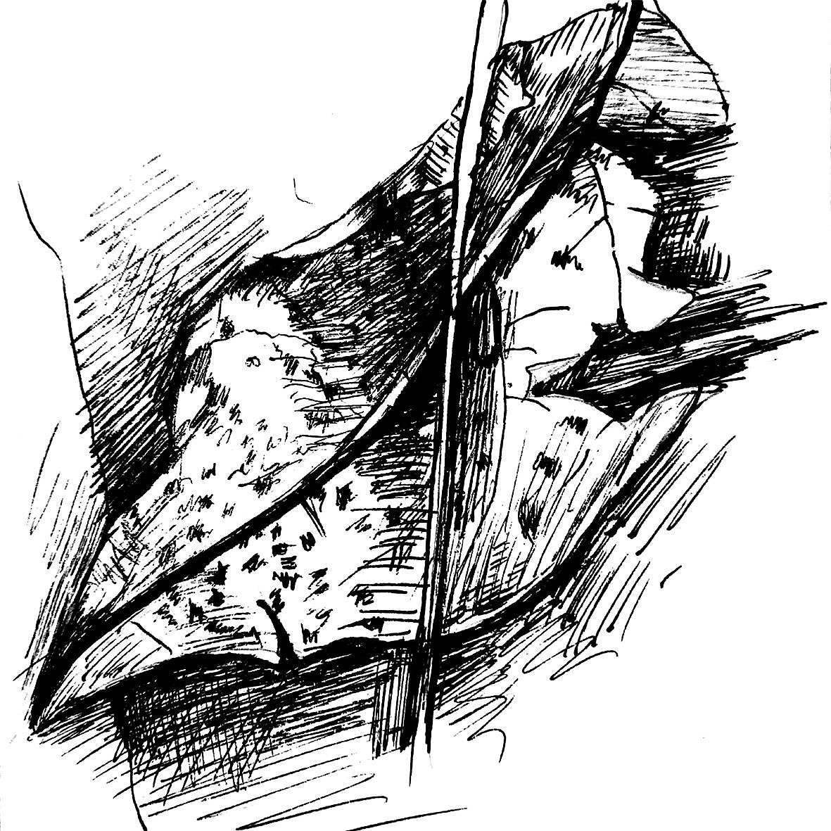 图形提取（图ZMTk0NzQ4MjY4） - 图案 - 站酷设计师小辣娜原创素材 - 站酷ZCOOL