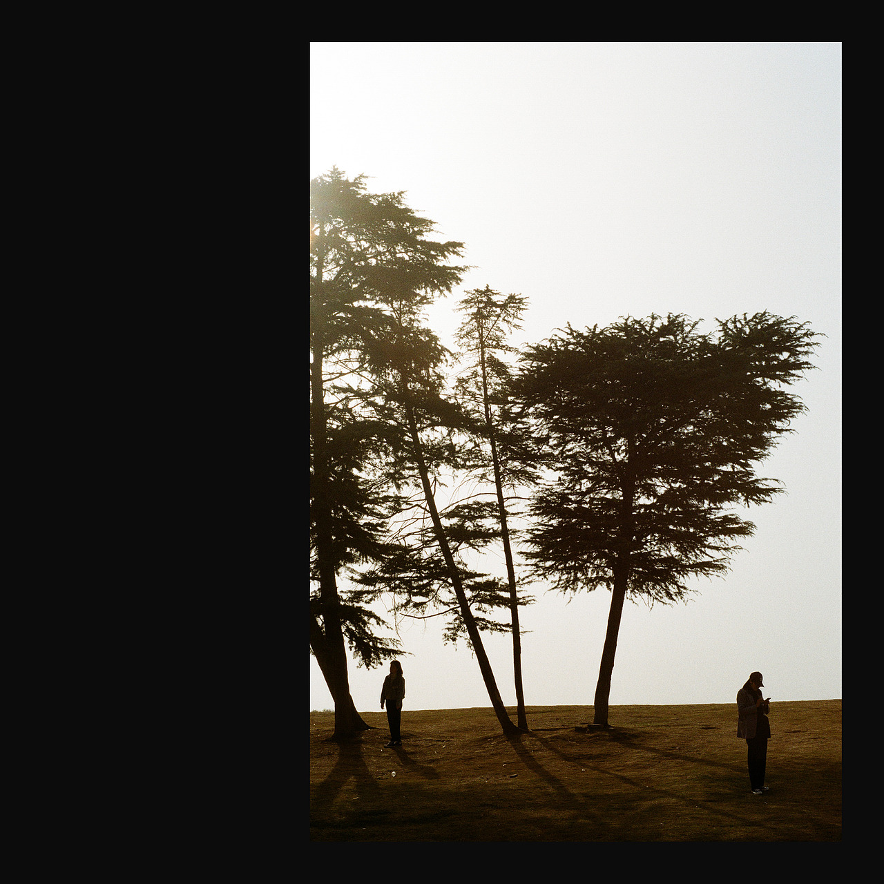 通灵集（图ZMjQ5NjA2NTY4） - 人像摄影 - 站酷设计师softrough原创素材 - 站酷ZCOOL