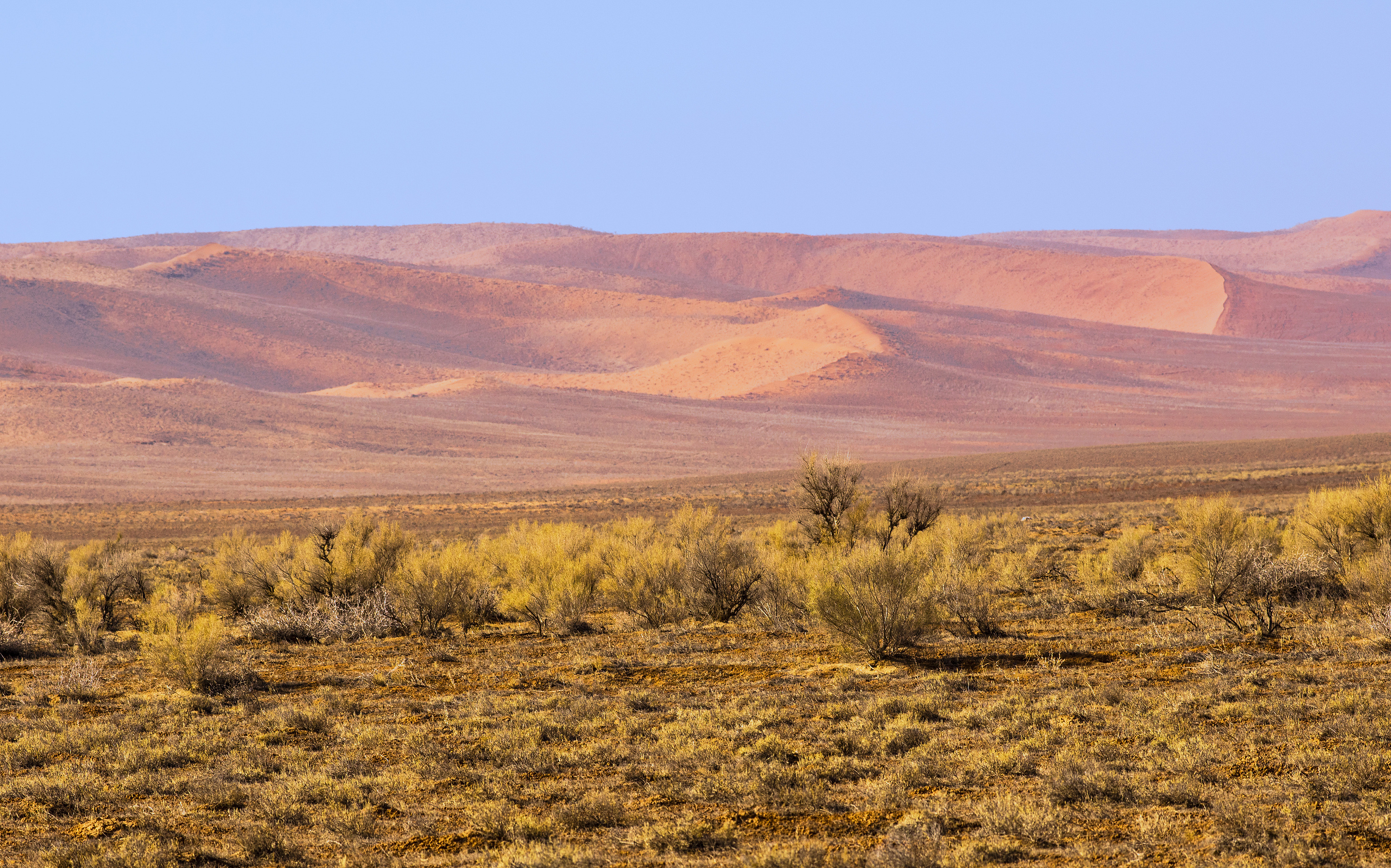 库木塔格沙漠|摄影|风光摄影|SamRock - 原创作品 - 站酷 (ZCOOL)
