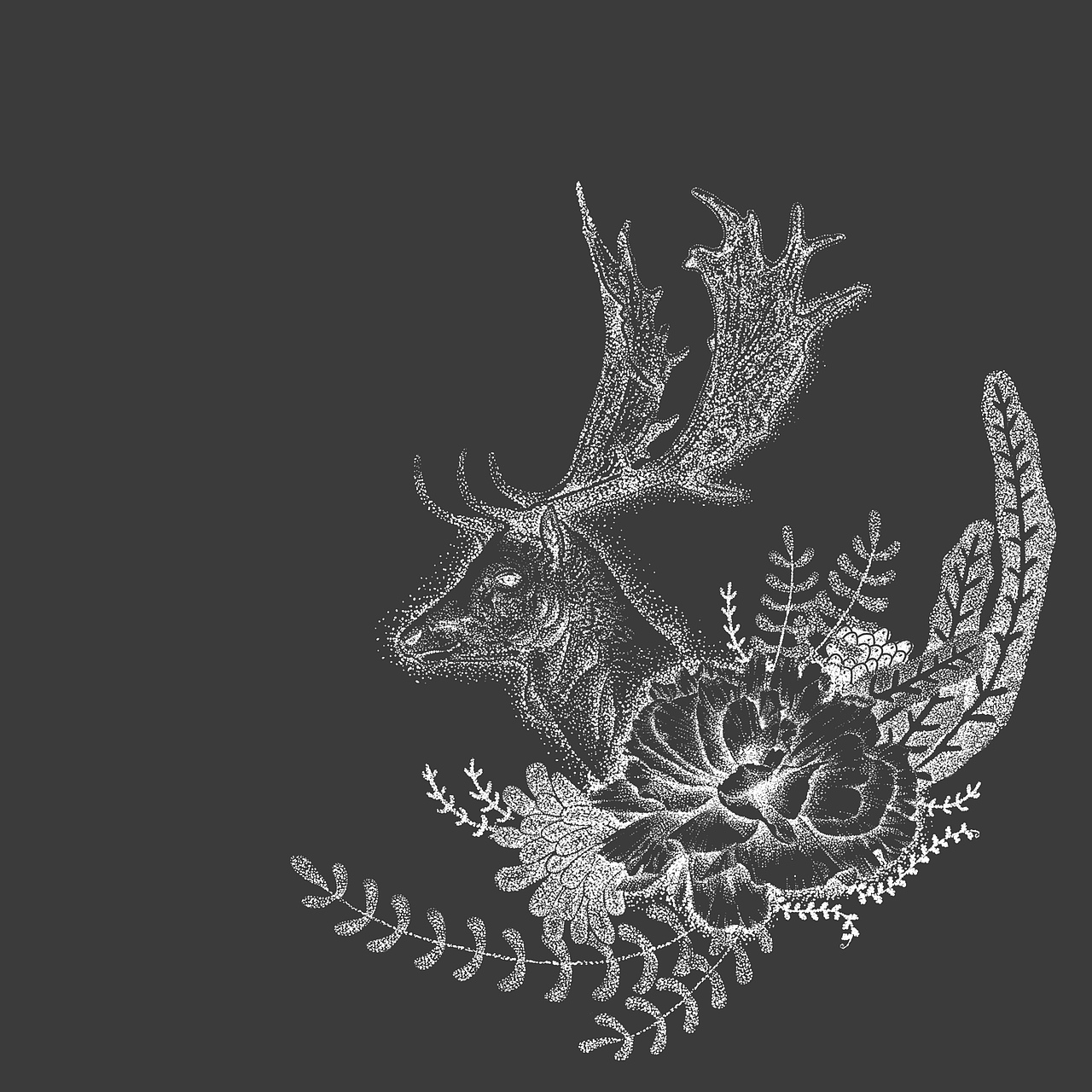 插画设计 鹿 点绘插画 黑白插画 动植物插画设计