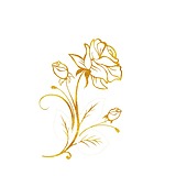 宝珠姐的头像