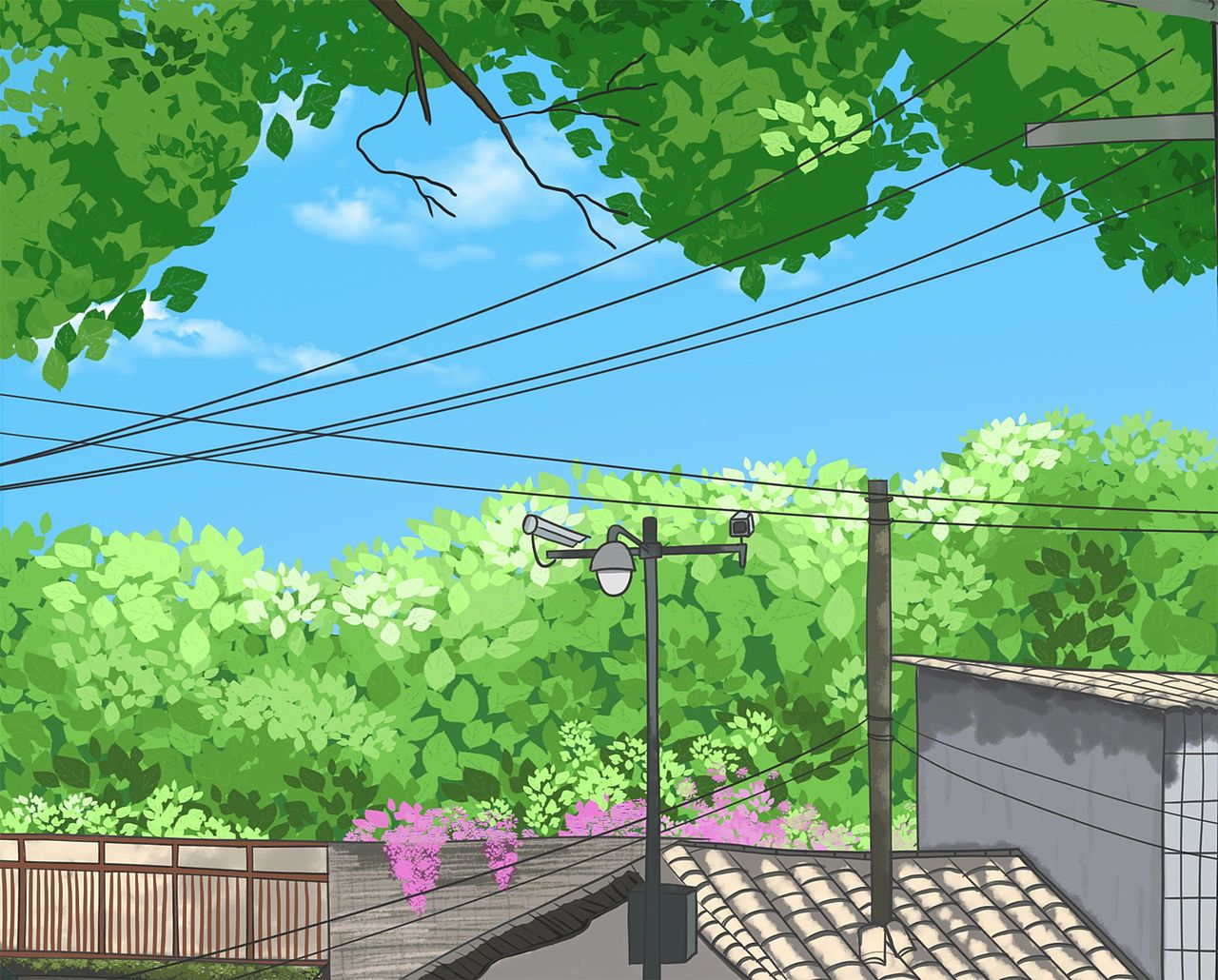 记忆中的夏天