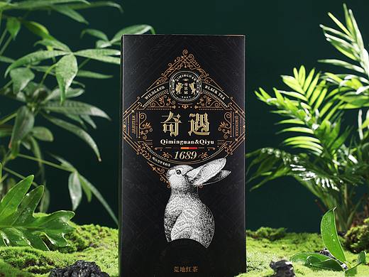 茶叶视频拍摄
