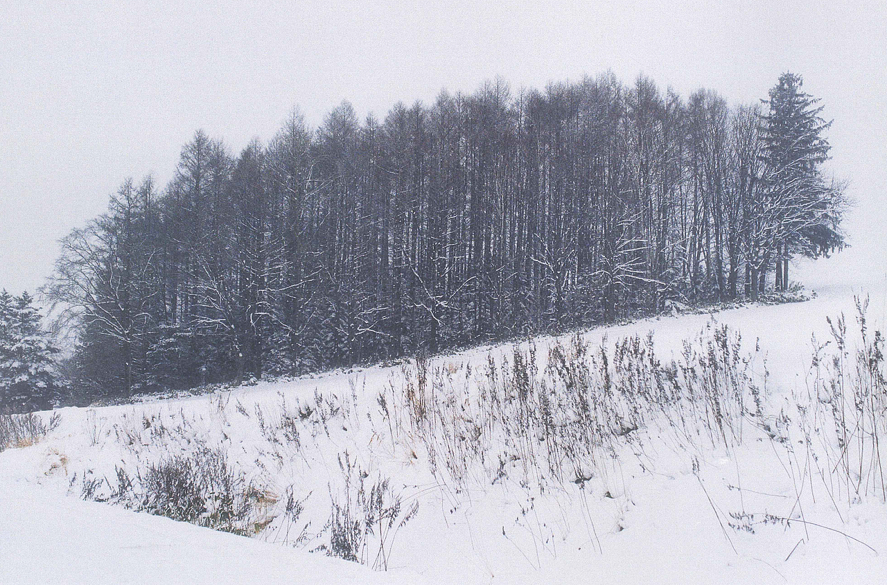 十二月十五日天气晴零下五度 ​​​​（图ZMTQwNzM1NjE2） - 人像摄影 - 站酷设计师NiccoCai原创素材 - 站酷ZCOOL