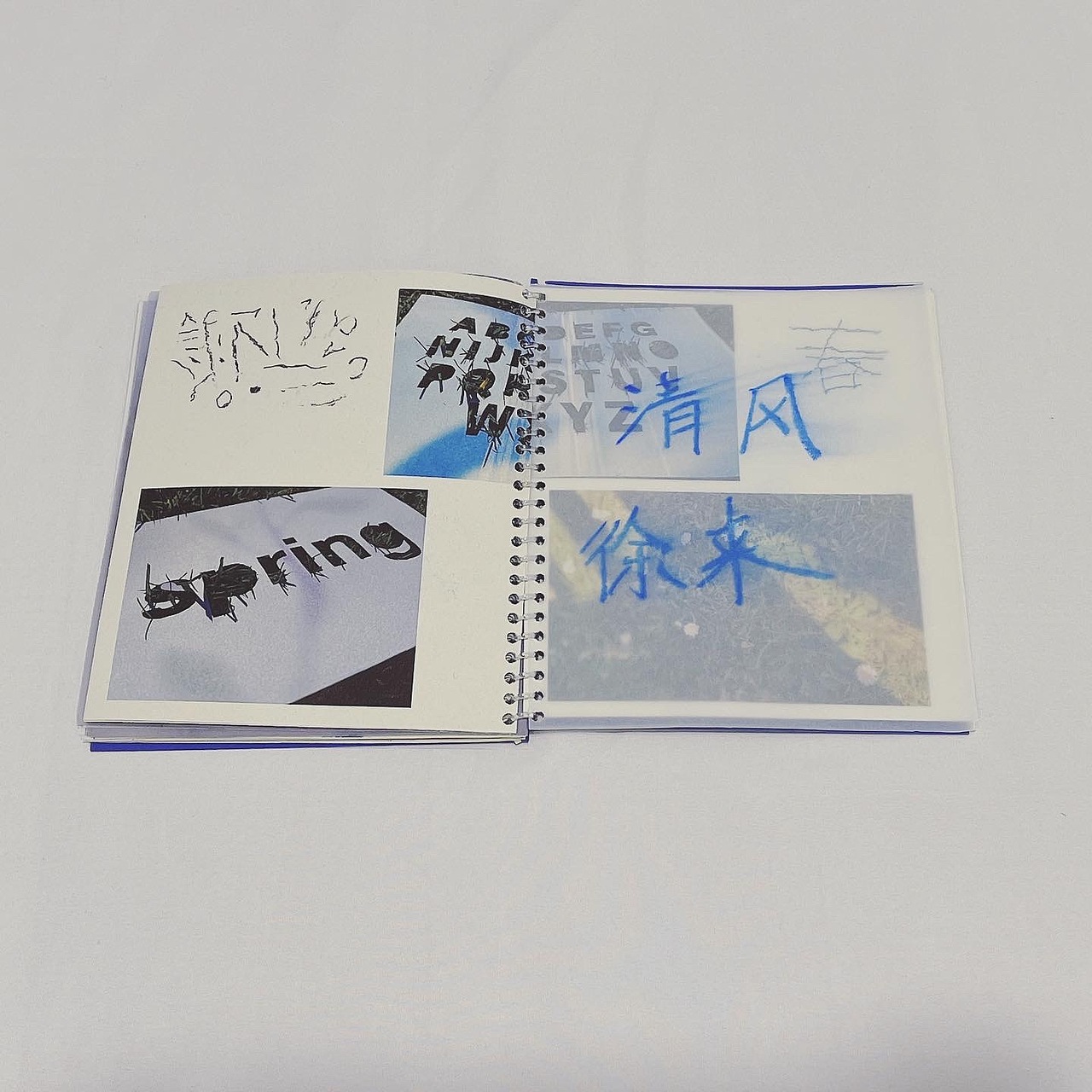 手工书 GLASGOW GARDEN（图ZMjk5NjQzNDY4） - 书籍/画册 - 站酷设计师抹茶小豆腐原创素材 - 站酷ZCOOL