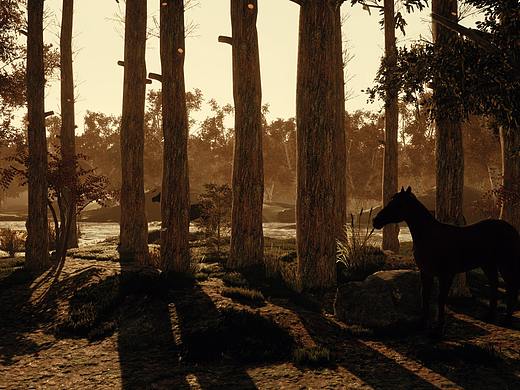 秋天樹(shù)林小河（個(gè)人主頁(yè)-ZMzY2Nzg2MDg=） - 場(chǎng)景 - 站酷設(shè)計(jì)師亜飛原創(chuàng)素材 - 站酷ZCOOL