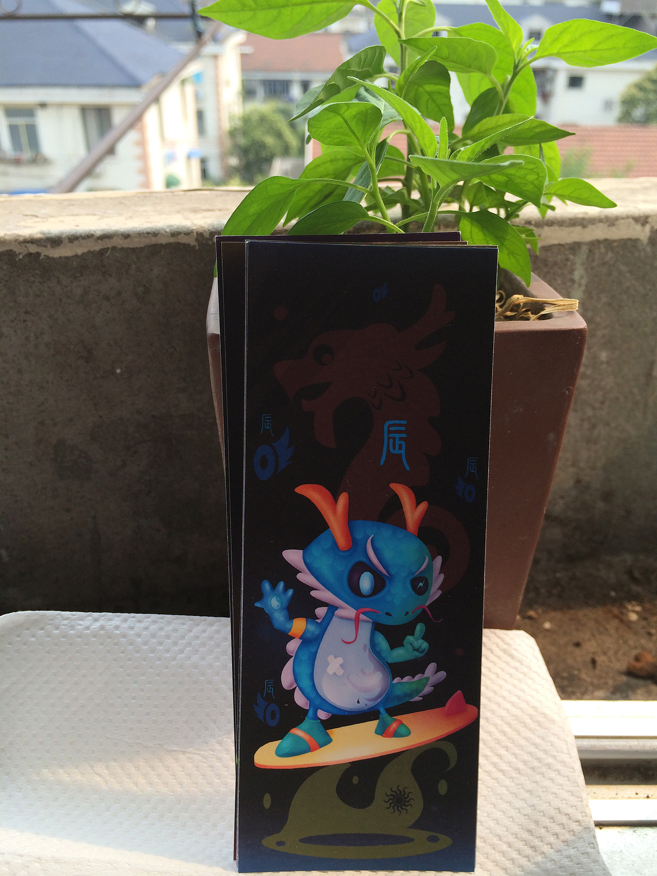 拍摄环境简陋,就在自己家花盆上拍个阳光照啦!