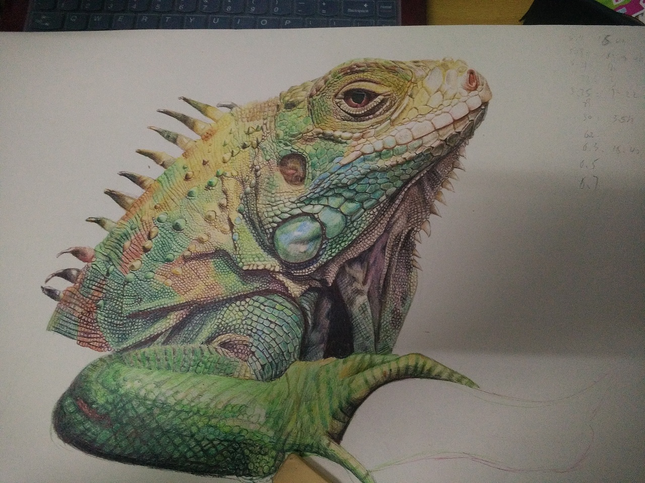 #XR手绘-蜥蜴#