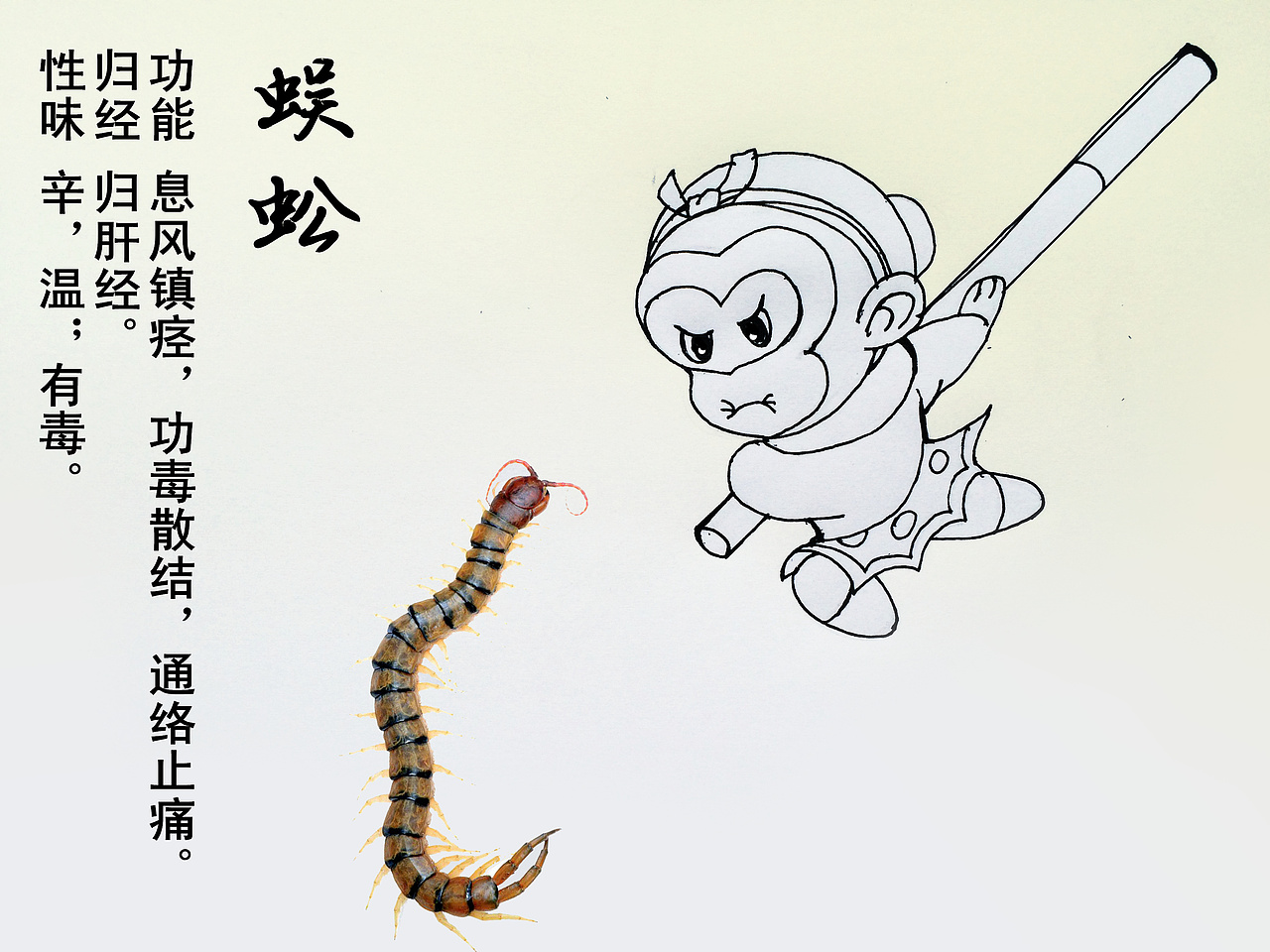 中药插画（图ZMjcyNTMwNzg4） - 概念设定 - 站酷设计师Leonardo医生原创素材 - 站酷ZCOOL