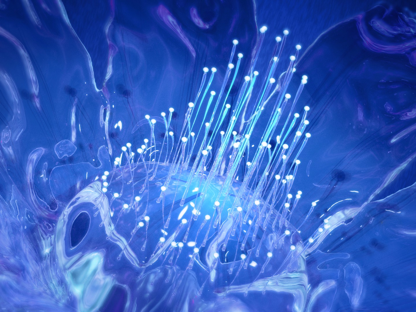 Liquid Petals_Adam_11-站酷ZCOOL