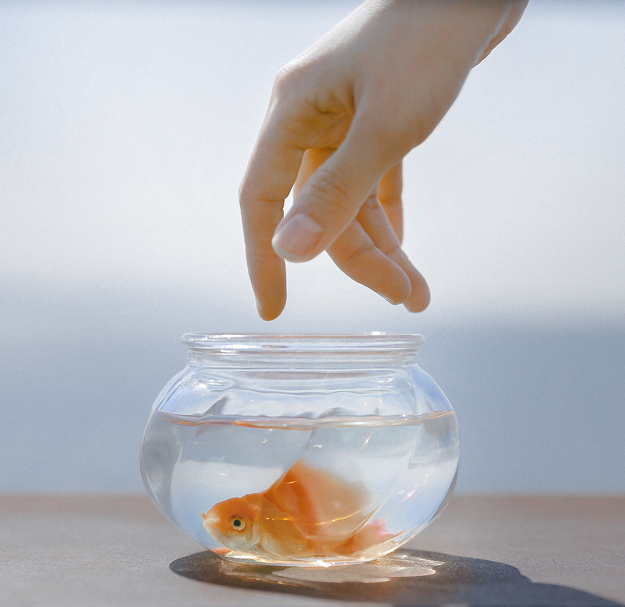 你是歲月里的驚喜（圖ZMTg4OTgxODc2） - 人像攝影 - 站酷設(shè)計(jì)師芥末溜一圈原創(chuàng)素材 - 站酷ZCOOL