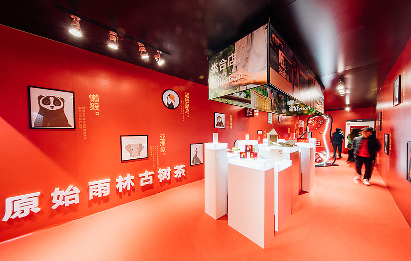 容品牌:茶饼搭建茶立方_雨林古茶坊茶博会展厅策划