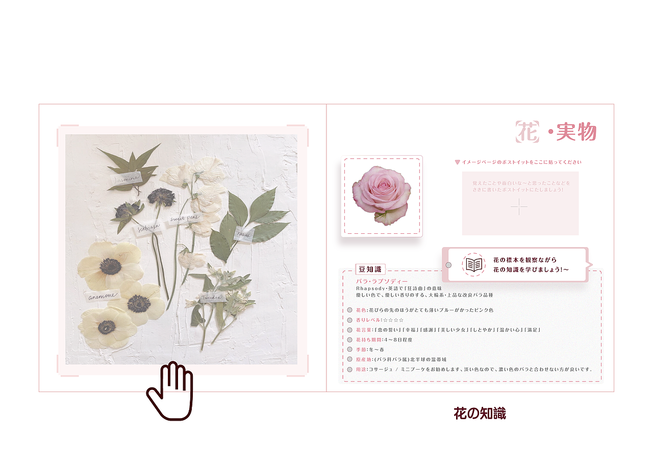 BOOK OF FLOWERS / 花之书 MAU 2020年卒業制作（图ZMjc0Mjk5NzQ0） - 书籍/画册 - 站酷设计师叶无限原创素材 - 站酷ZCOOL