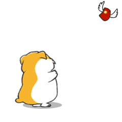 胖鼠啾唧日常篇
