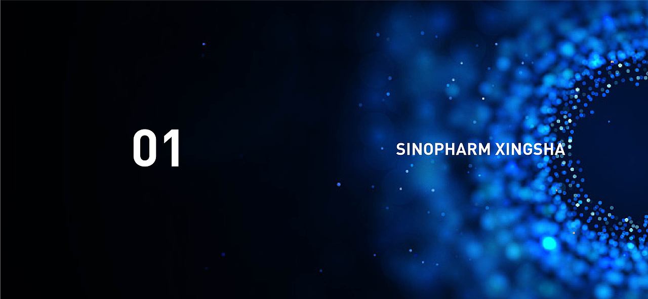 国控星鲨 LOGO设计（图ZMjk3MTE5MzA4） - Logo - 站酷设计师橙乐视觉品牌设计原创素材 - 站酷ZCOOL