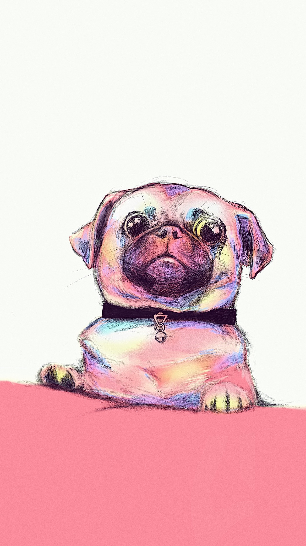 我们家的狗 - 日常练习