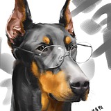 七匹哈士奇的头像