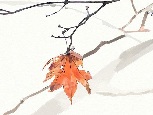 四季（个人主页-ZMjQxNzQ3MDQ=） - 创作习作 - 站酷设计师彩虹鸟的向日葵原创素材 - 站酷ZCOOL