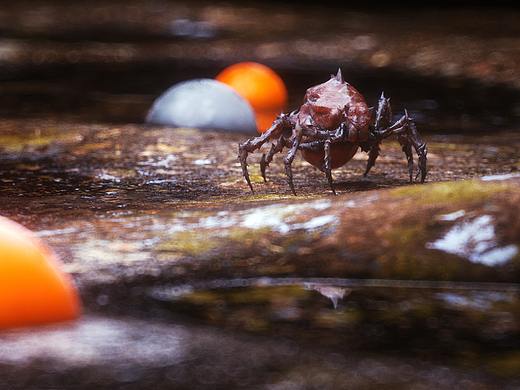 《自由世界》：Insect