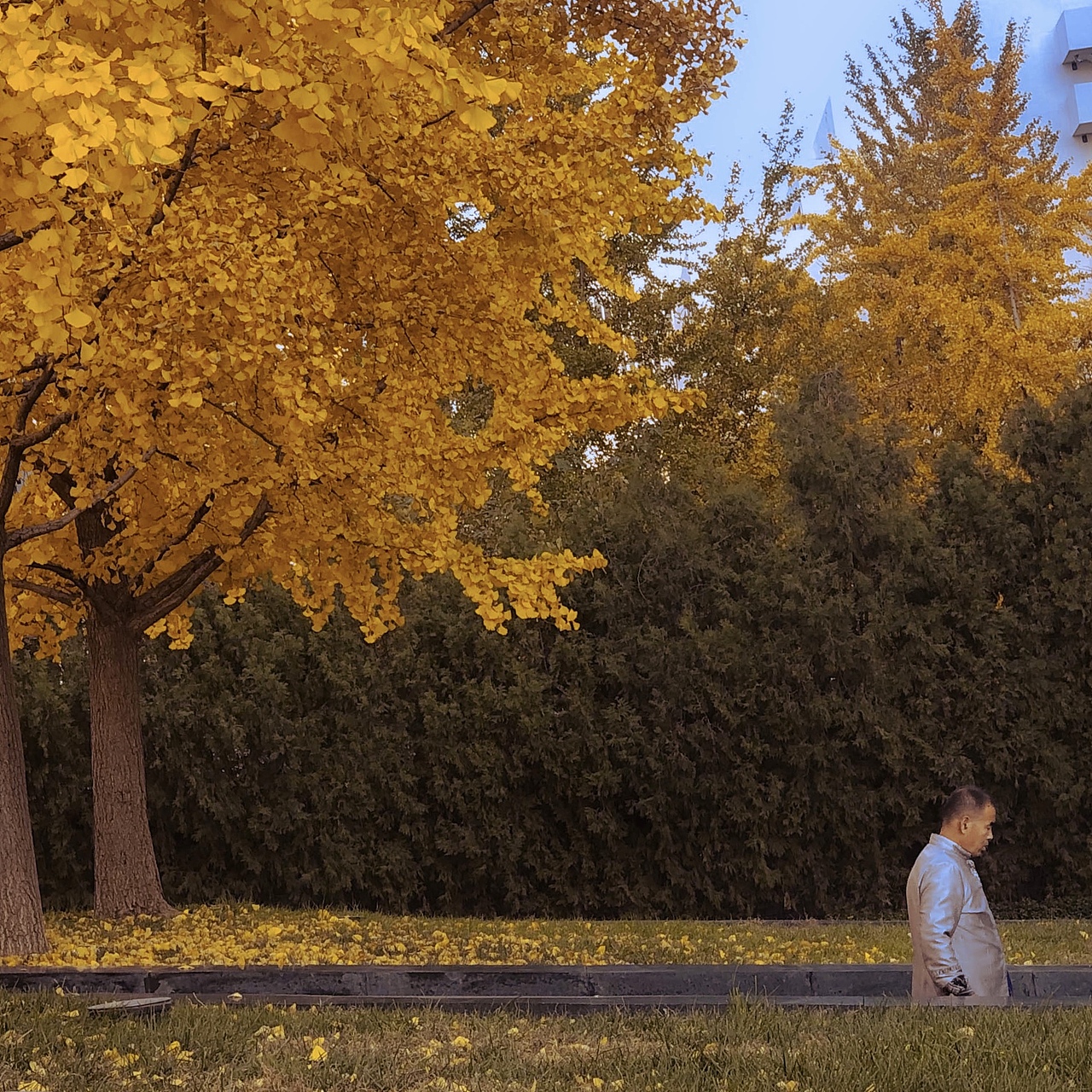 路上（图ZMTg0NDY1NjY0） - 风光摄影 - 站酷设计师不会潜水的猫原创素材 - 站酷ZCOOL