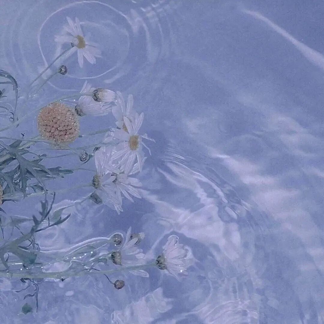 追x坠入深渊的个人主页（背景预览） - 主页背景设置 - 站酷设计师追x坠入深渊原创素材 - 站酷ZCOOL