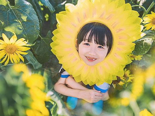 向日葵的夏天