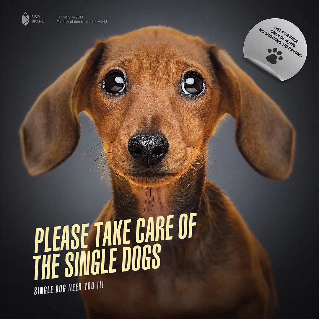 “生活笔记”（图ZMTY4OTMzNDky） - 海报 - 站酷设计师21stuidos原创素材 - 站酷ZCOOL