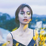 BooBo0的头像
