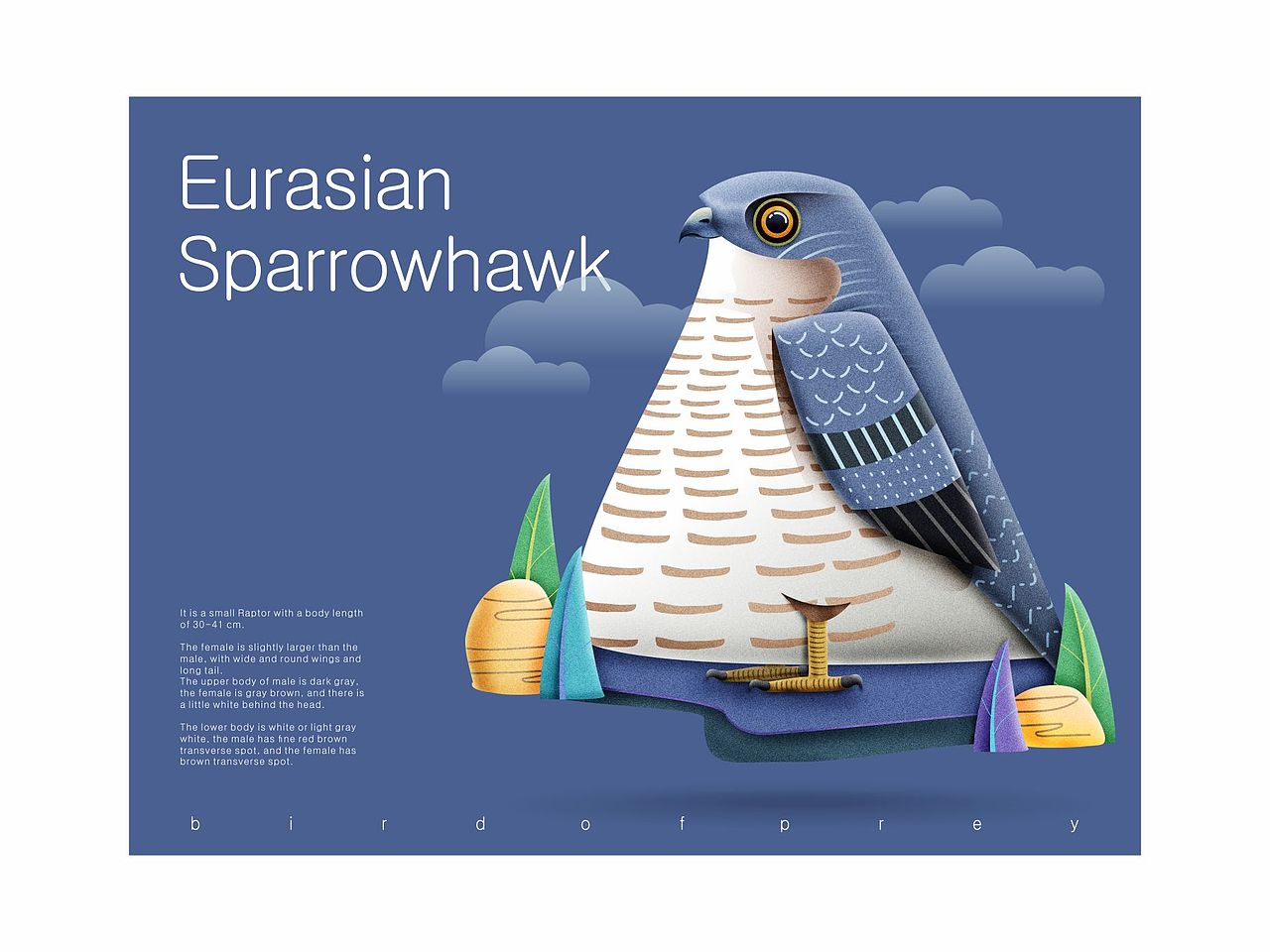 鸟儿（图ZMjEwNTYzNDI4） - 绘本 - 站酷设计师言身寸言身寸原创素材 - 站酷ZCOOL