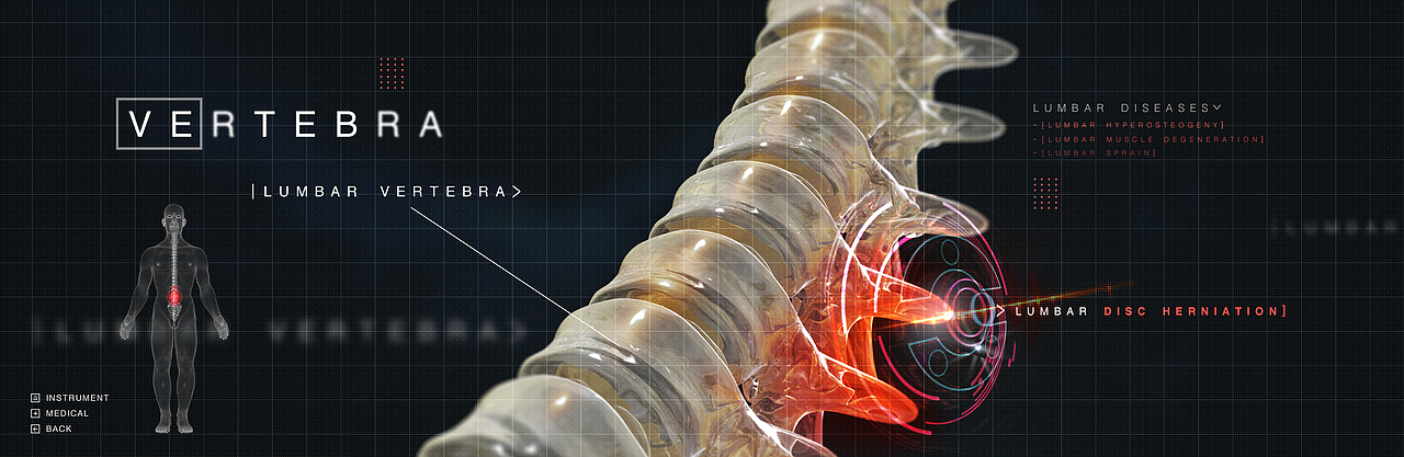 骨骼（图ZMTMxNTQ0NDc2） - 人物/生物 - 站酷设计师Anding原创素材 - 站酷ZCOOL