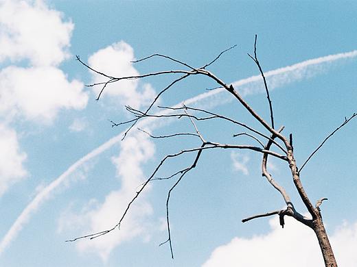 Landscapes on film