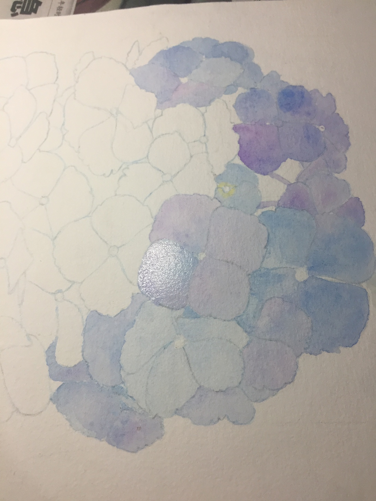 工具:樱花二十四色固体水彩,秋宏斋劲草