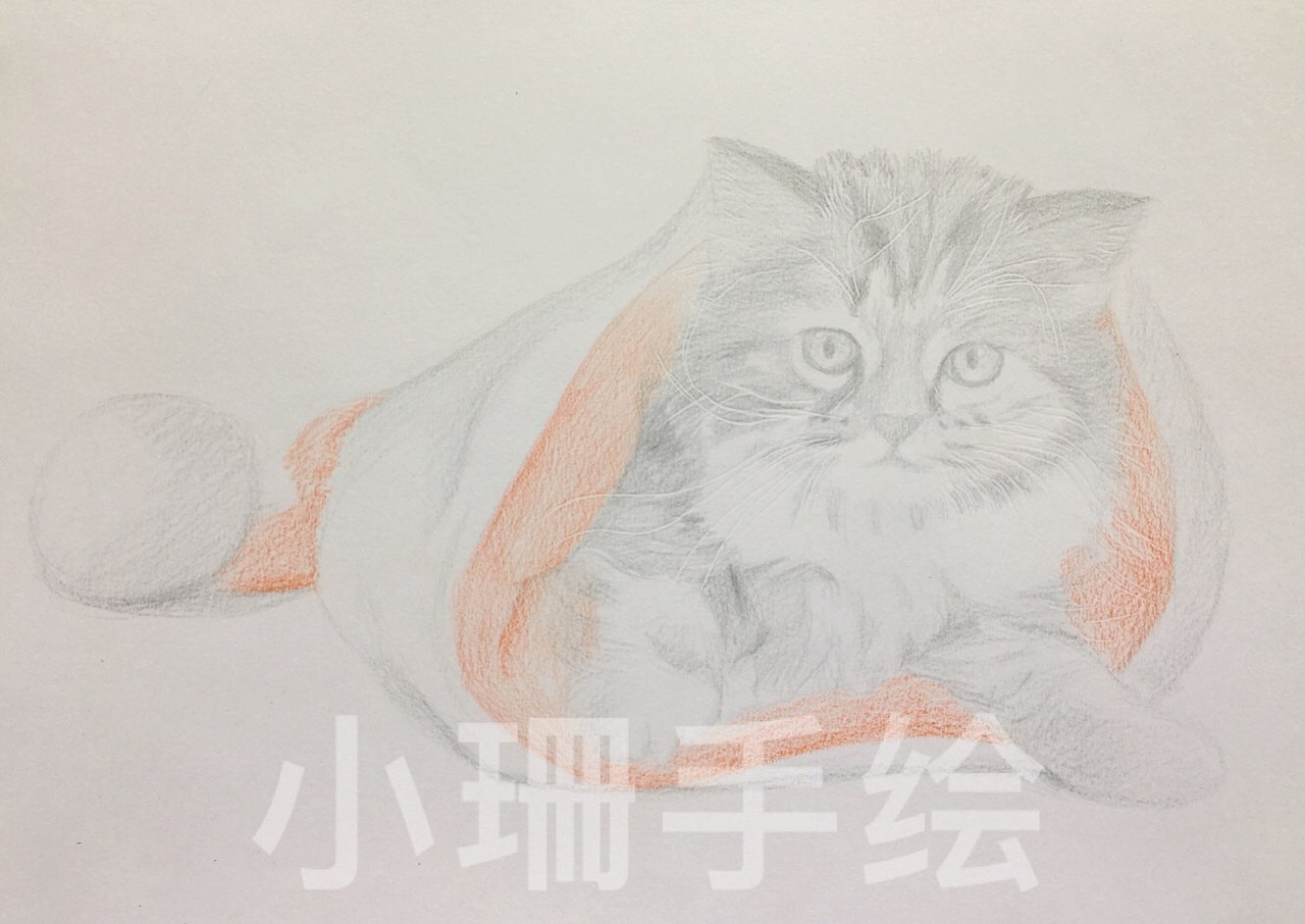 彩铅圣诞小猫咪