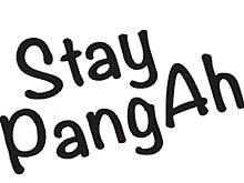 STAY PANGAH治愈小白狗