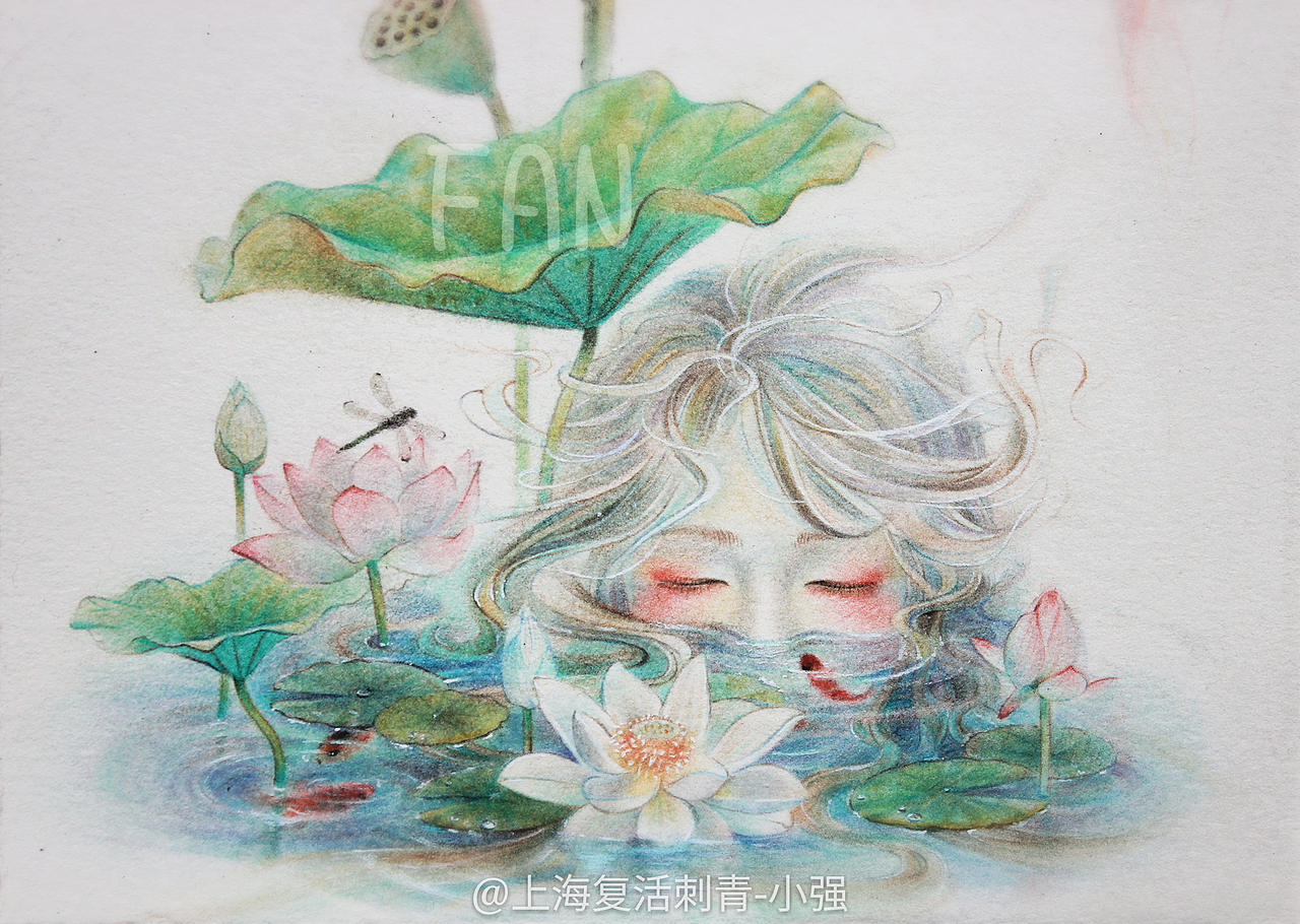 原创彩铅《莲花和鱼》