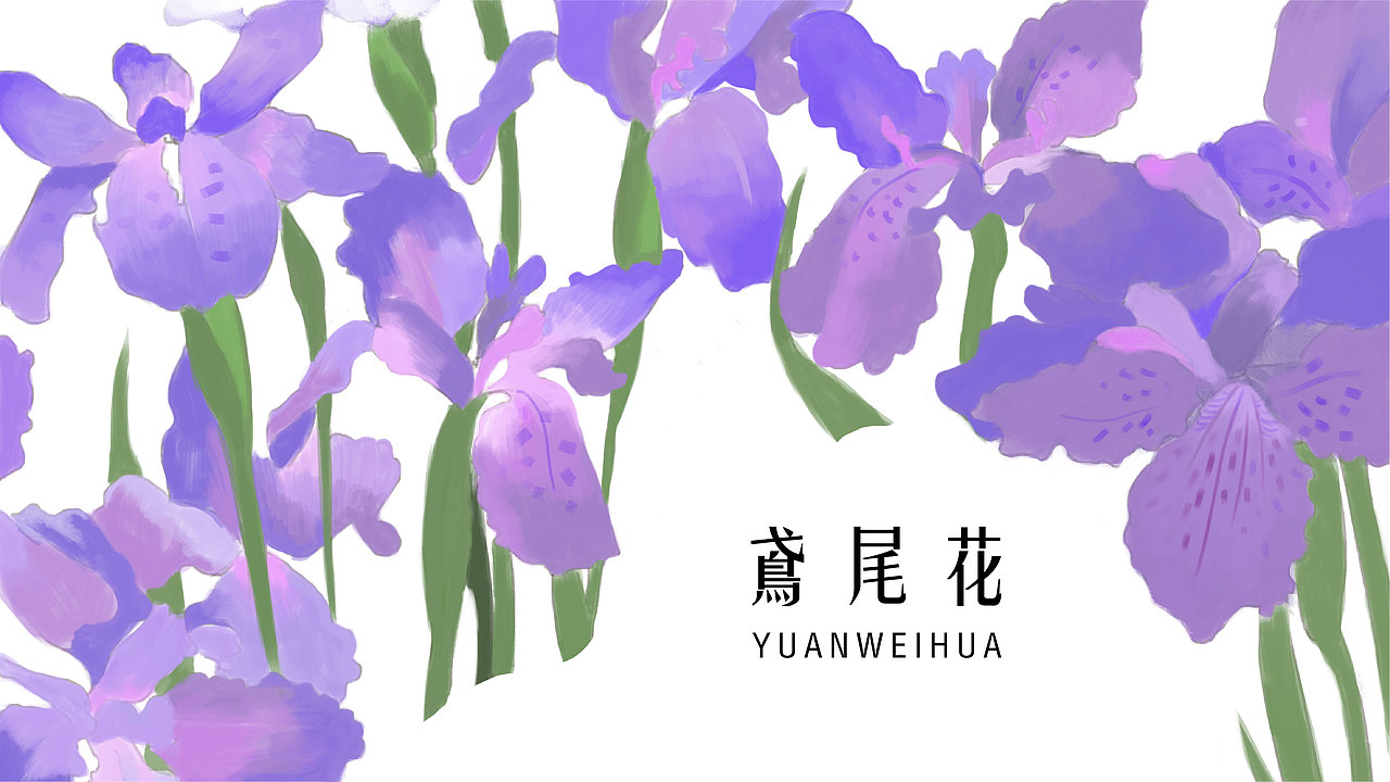 插画作品集（图ZMjQ0MzUwNDA0） - 商业插画 - 站酷设计师飒喵喵怪原创素材 - 站酷ZCOOL