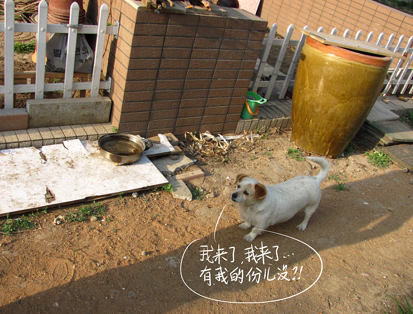 我结交了一群新朋友（图ZMjc2MjE3MTY=） - 文案/策划 - 站酷设计师画师x如也原创素材 - 站酷ZCOOL