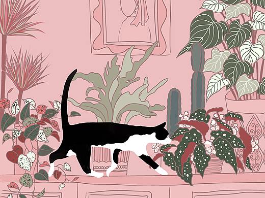 猫与植物系列001-003