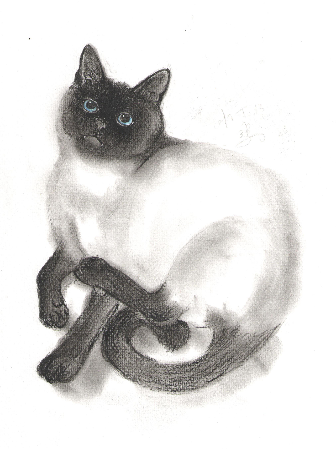 《猫奴》插画（图ZMTY5ODYyMzY0） - 商业插画 - 站酷设计师废纸原创素材 - 站酷ZCOOL