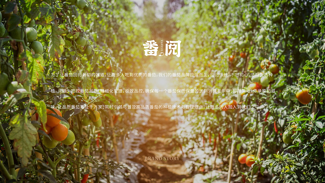 番阅番茄品牌全案策划设计（图ZMjExMjQ4Njg4） - 品牌 - 站酷设计师山行品牌策划原创素材 - 站酷ZCOOL