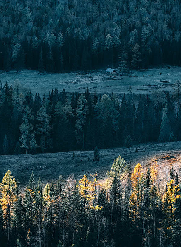 喀纳斯月亮湾,阳光、森林、木屋、骏马,它们像多重空间一样不可思议的出现在同一个画面中
这大概是让多少人向往的生活