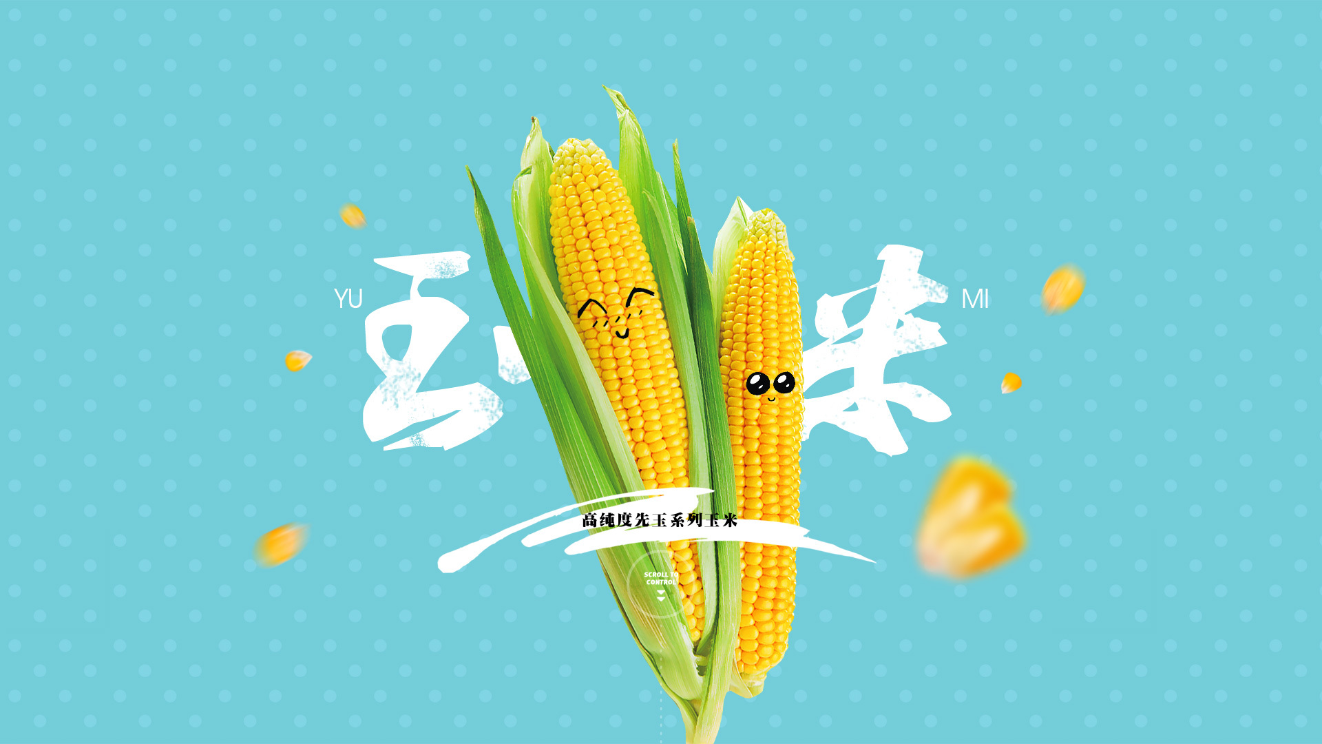 农产品banner